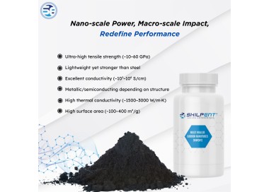 Carbon Nanotube